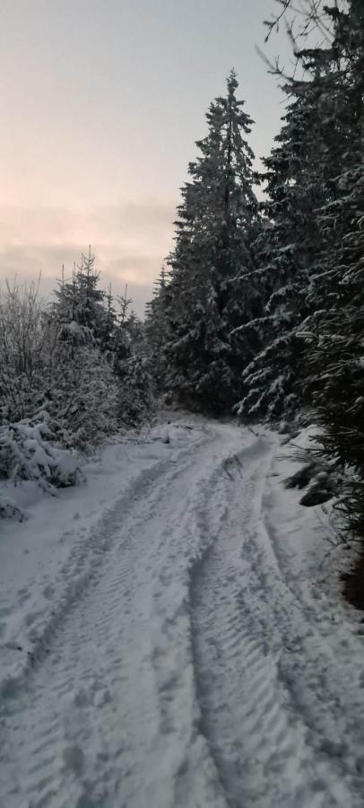 Ferme La Joye Bed & Breakfast Houffalize Exterior foto